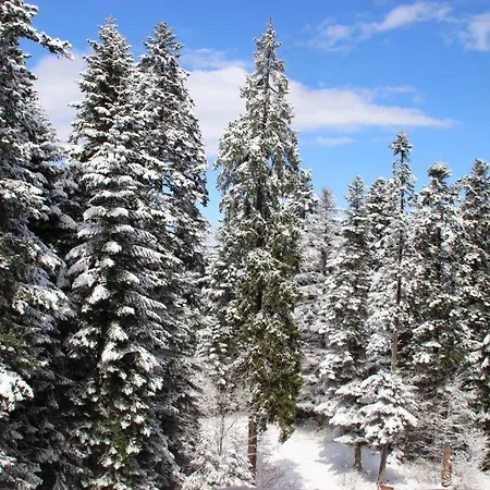 Pm Services Sequoia Apartamento *