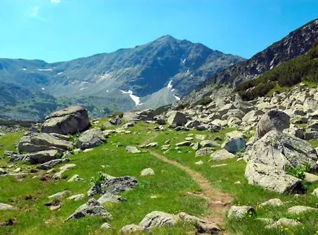 Pm Services Sequoia Apartamento