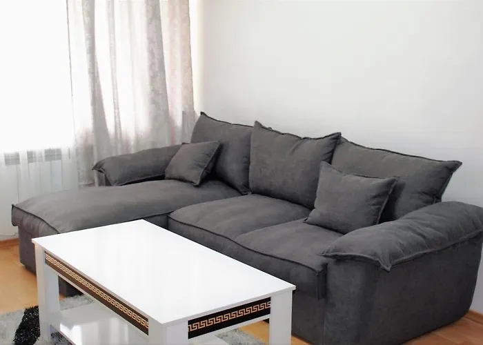 Pm Services Sequoia Borovec