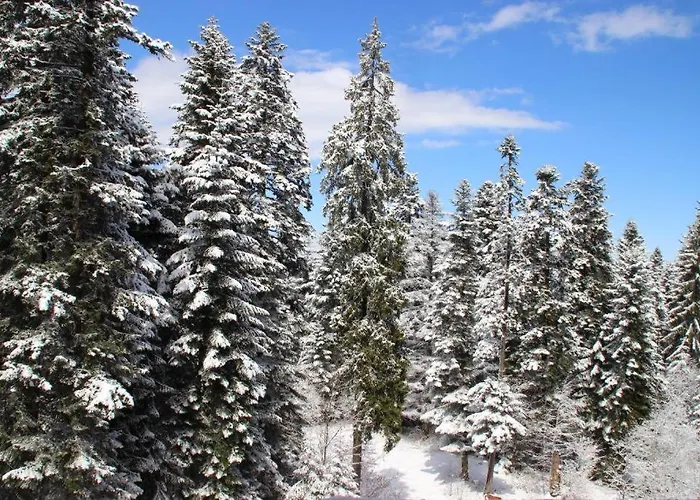 Pm Services Sequoia Apartmán *