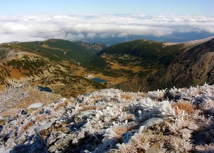 Apartmán Pm Services Sequoia *