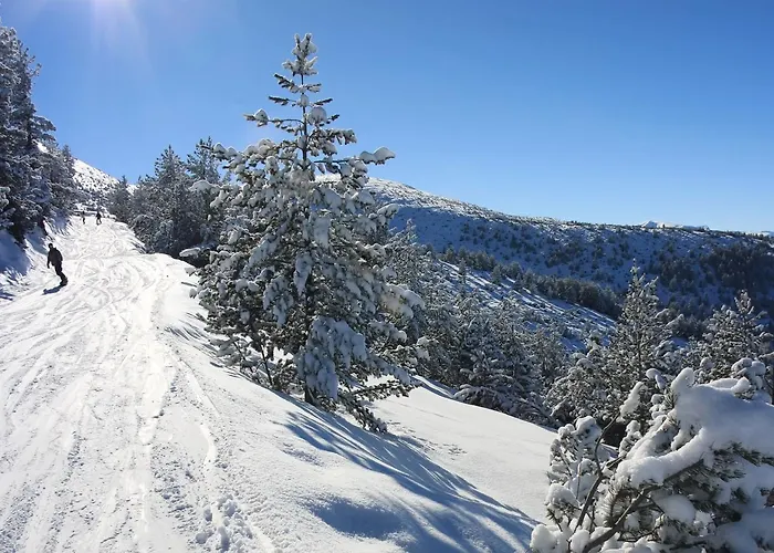 Pm Services Sequoia * Borovec